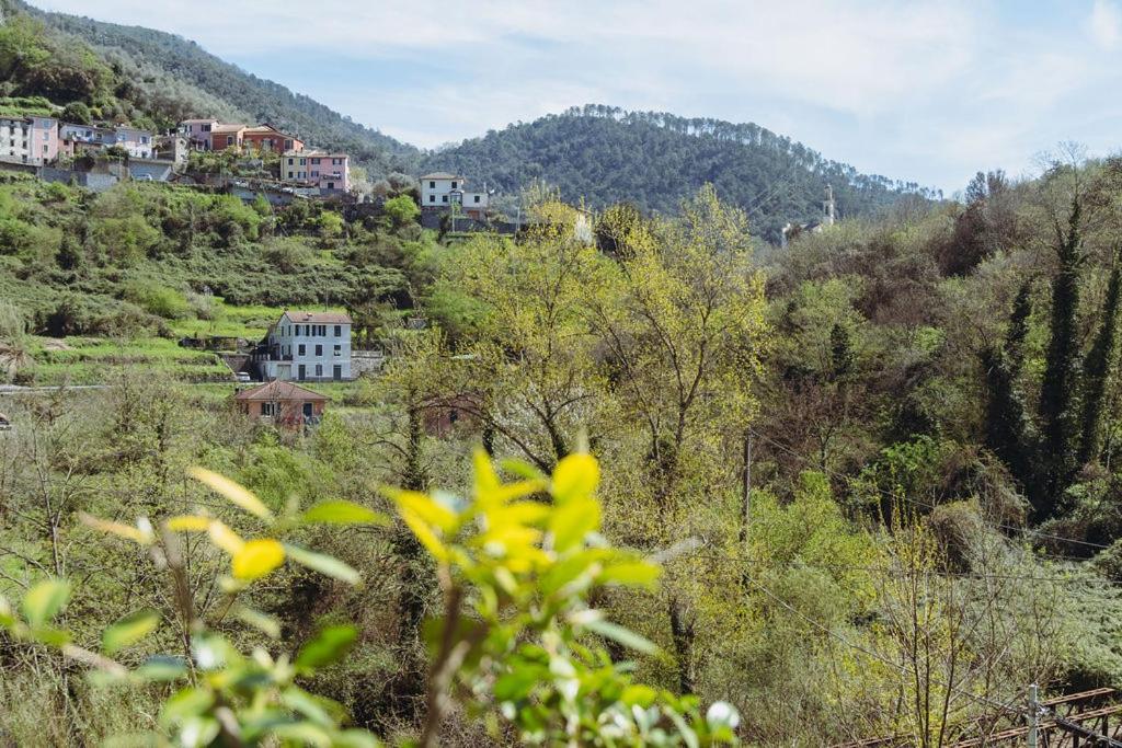 Residenza Nemus Mare E Montagna Apartment Graveglia Exterior foto